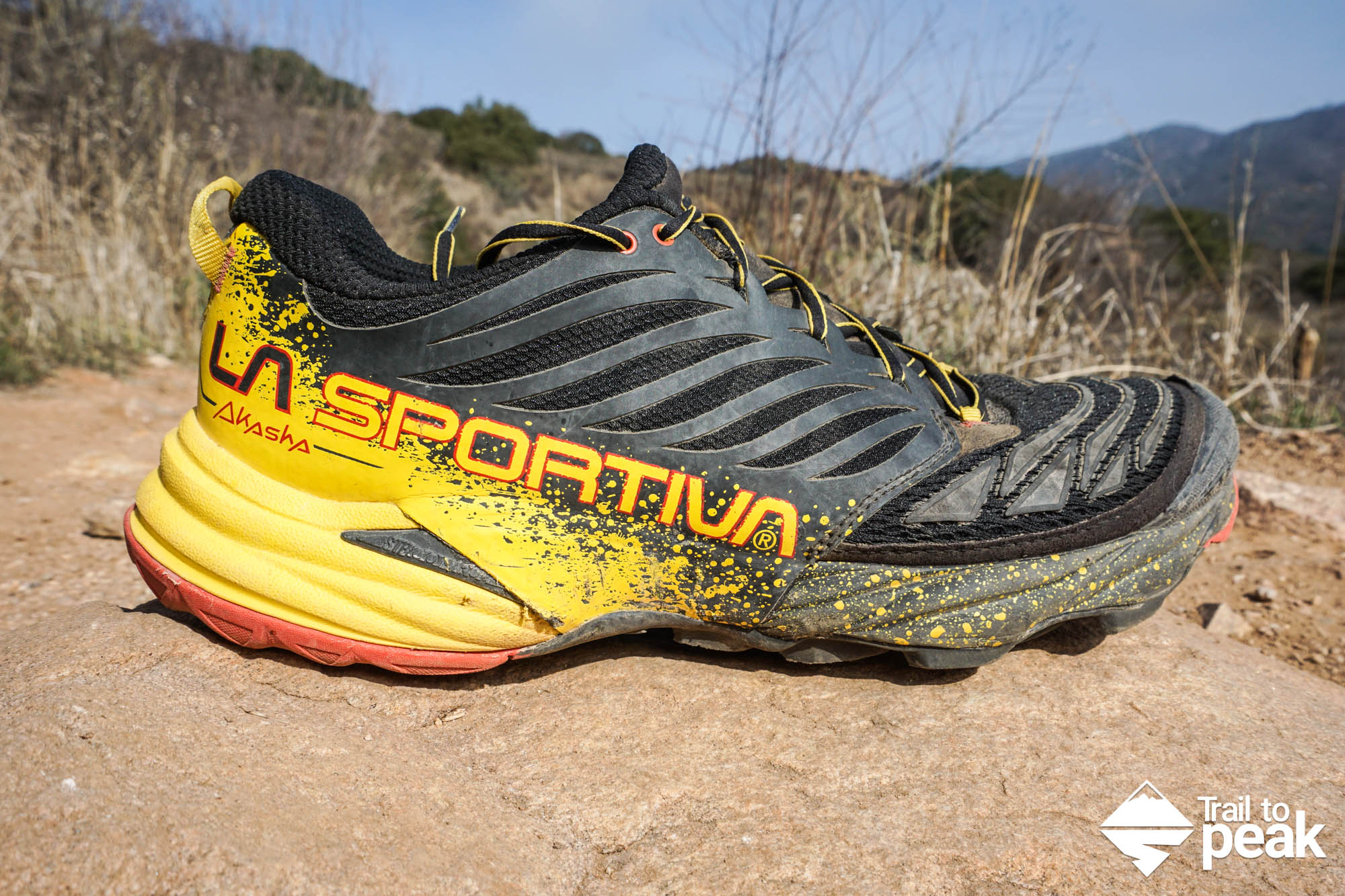la sportiva running shoes review
