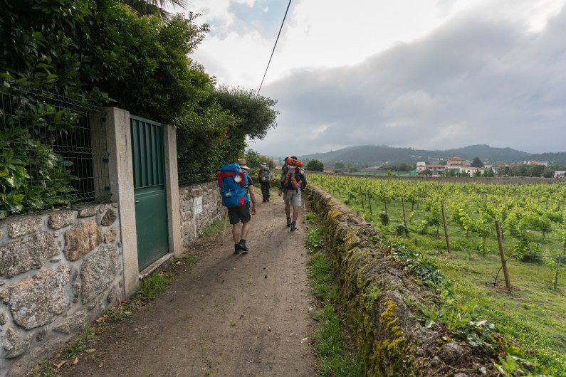15 photo moments camino portuguese camino de santiago photography